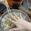 국수나무아산 - 아산시 설화고길 6 | 국수나무아산