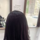 에스에스헤어 이미지