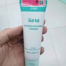 CNP 카카오 검색결과