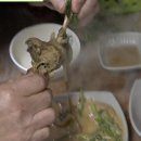 오리나라만세 이미지