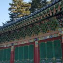 part3. 강원도 영월 무릉도원계곡 우리두리글램핑장. CES탄소섬유바닥난방.사자산. 법흥사 적멸보궁