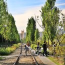 경춘선숲길 이미지