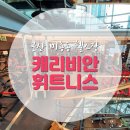 캐리비안 휘트니스 이미지