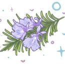 꽃 우리 이미지