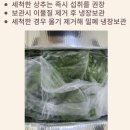 스마트팜 | 🥗 유러피안샐러드1KG 구매 및 섭취후기, 무농약 스마트팜재배 상추의 신선한 매력