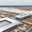 meta plant 이미지