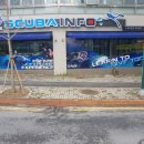 스쿠버인포대전 네이버블로그
