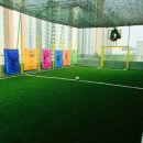 박사 경희대 태권도 이미지