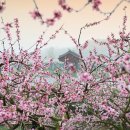 신평동374 네이버블로그