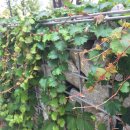 마스터뷰 세탁소 이미지