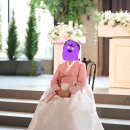 [웨딩 한복] 천안 빈알페오 한복대여 후기 (feat. 빈알페오한복에서 온가족 대여까지)