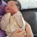 사임당한의원 | 수원 사임당 산후도우미 서비스 3주 이용 솔직 후기