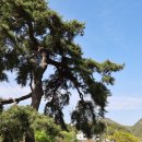 매전면사무소 이미지