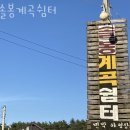 솔봉펜션 | 강원도계곡펜션 솔봉계곡쉼터 서울근교계곡 찾는다면 7뤌여행지로 여기 추천!