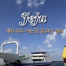 3급놀부종합카 | 2026 최신 우도 가는 법 렌트 정보 정리