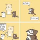두림호텔 | 도쿄 6월,7월 날씨 | 항공권, 파라타항공, 생일 | 나리타 공항 택시 요금
