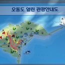 오동도호텔 | 🚶‍♀️ 부모님과 함께한 여수 오동도 여행💙｜바다 보며 걷기 좋은 코스