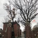 에이치마트 이미지