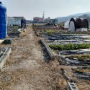 현곡농장 이미지