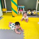 해님농장 | 31개월(3)