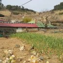 금오도공인중개사사무소 이미지