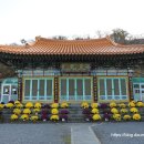 관음사의 왕벚나무자생지 | 평화와 치유의 섬 &#39;제주 불교의 중심&#39;, 제주 관음사