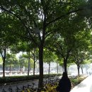 굿타임 쇼핑 이미지