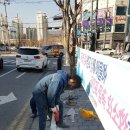 시 지정게시대(저단형 게시대) 이미지