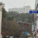 구봉사랑유치원 | 23.11.13~19 일상
