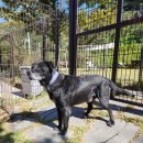 교현안림동사무소 이미지