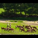 미래로목장 이미지