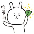 착한낙지화명점 이미지