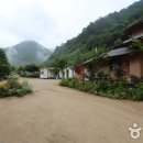 인제 들꽃펜션 이미지