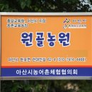 원골농원 이미지