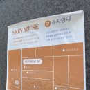 스킨뮤제 이미지