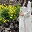 에코그리니즈 네이버블로그