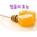유일식품 티스토리