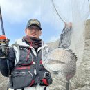 한조민박 이미지