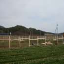 한우세상 이미지