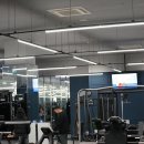 디벨롭짐 이미지