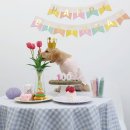 탄앤쿠키 이미지