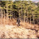 장재삼거리 이미지