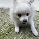 백운 119 안전센터 이미지