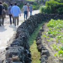 제주와요 이미지