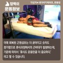 머슬메모리 이미지