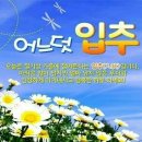 용이앤티타일