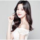 수와르헤어