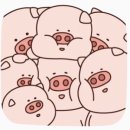 족발야시장 이미지