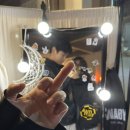 윌리독(wheeliedog) 이미지