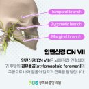 대치경희한의원 이미지